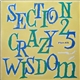 Section 25 - Crazy Wisdom
